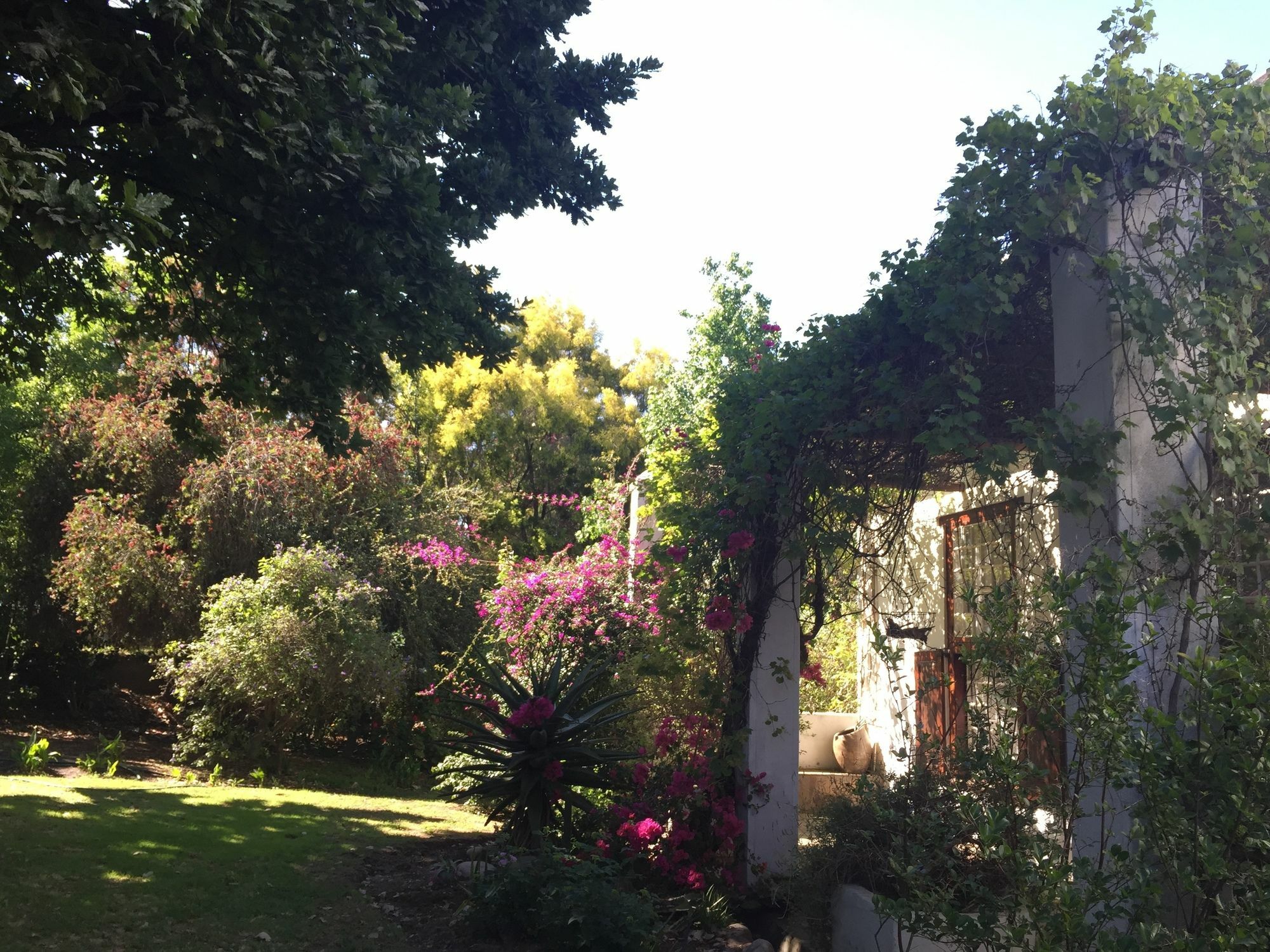 Hotel Wittedrift Manor House Tulbagh Exterior foto